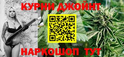 гашик Краснознаменск